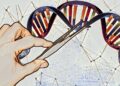 Biotech Research Cures Destructive Human Genetic Diseases
